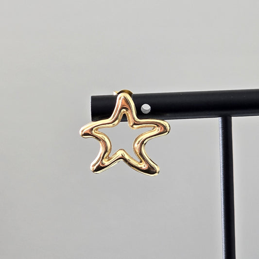 Star stud Earring