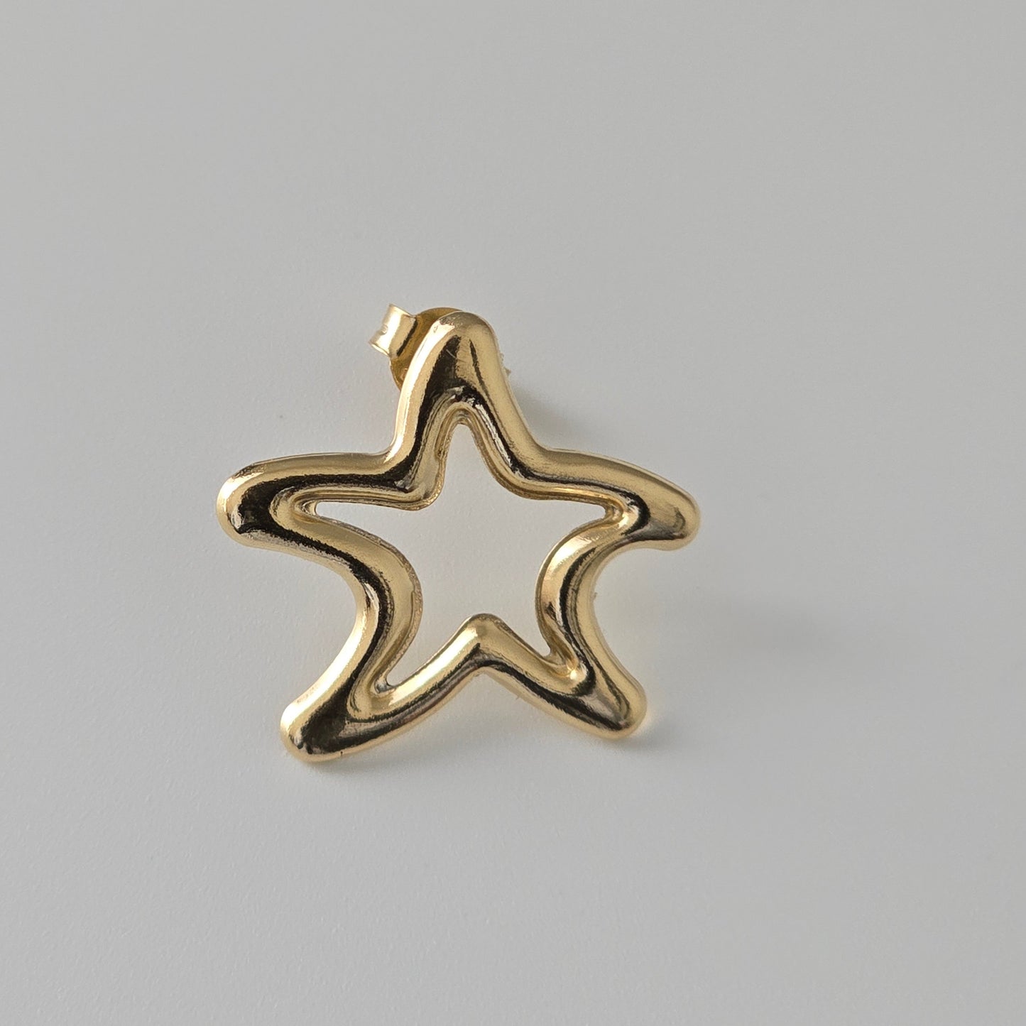 Star stud Earring